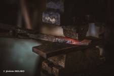 Jérémie MOLARO - F & F PHOTOGRAPHIE