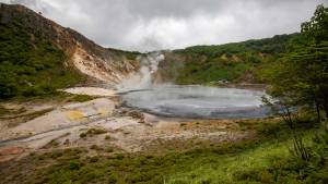 Thierry ANDRÉ - VO PHOTOS