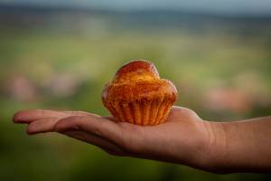 Jérémie MOLARO - F & F PHOTOGRAPHIE